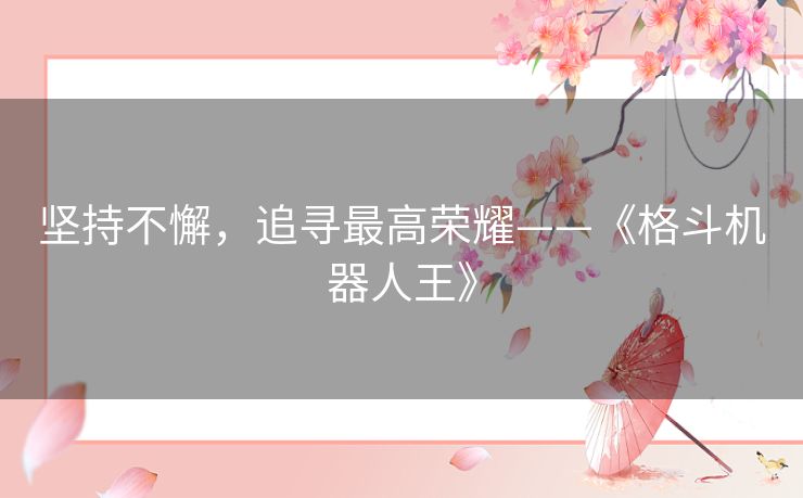 坚持不懈,追寻最高荣耀——《格斗机器人王》 坚持不懈,追寻最高荣耀——《格斗机器人王》