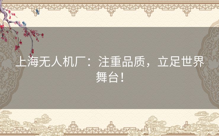 上海无人机厂:注重品质,立足世界舞台! 上海无人机厂:注重品质,立足世界舞台!