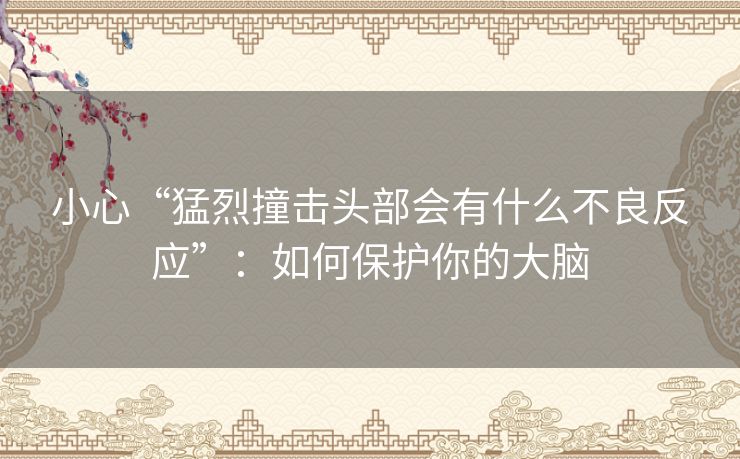 小心“猛烈撞击头部会有什么不良反应”:如何保护你的大脑 小心“猛烈撞击头部会有什么不良反应”:如何保护你的大脑