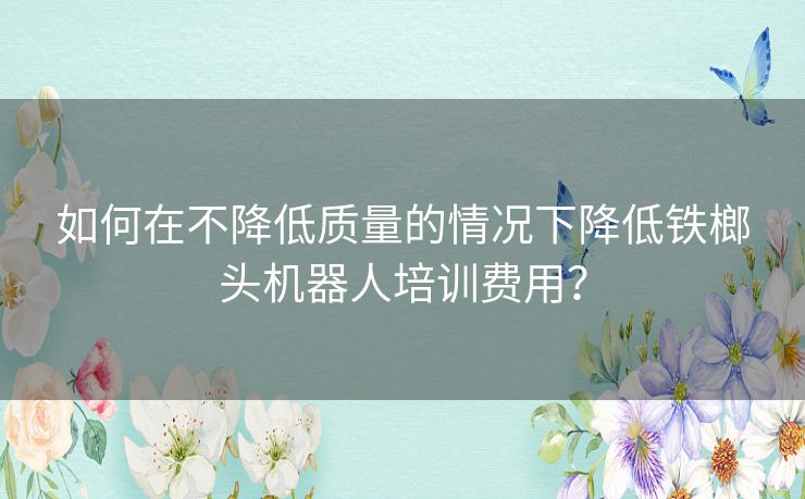 如何在不降低质量的情况下降低铁榔头机器人培训费用? 如何在不降低质量的情况下降低铁榔头机器人培训费用?