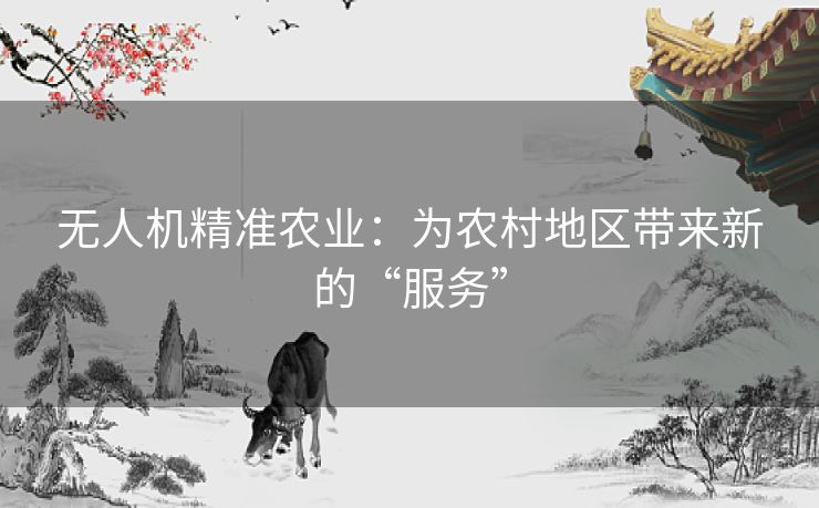 无人机精准农业：为农村地区带来新的“服务”