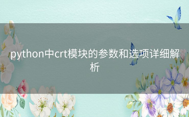 python中crt模块的参数和选项详细解析 python中crt模块的参数和选项详细解析