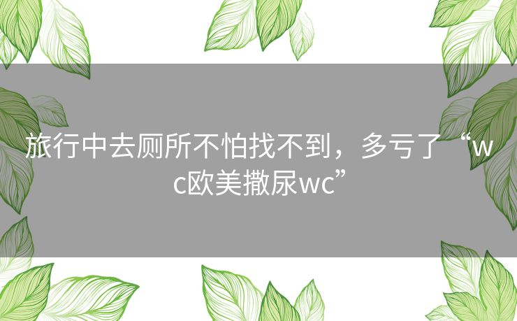 旅行中去厕所不怕找不到,多亏了“wc欧美撒尿wc” 旅行中去厕所不怕找不到,多亏了“wc欧美撒尿wc”