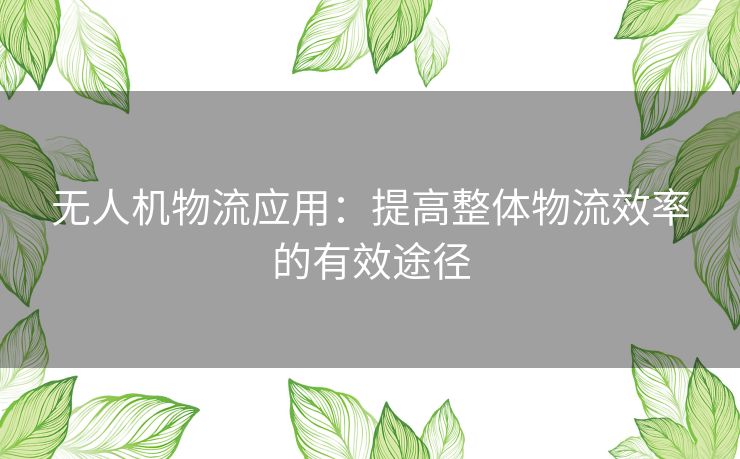 无人机物流应用:提高整体物流效率的有效途径 无人机物流应用:提高整体物流效率的有效途径