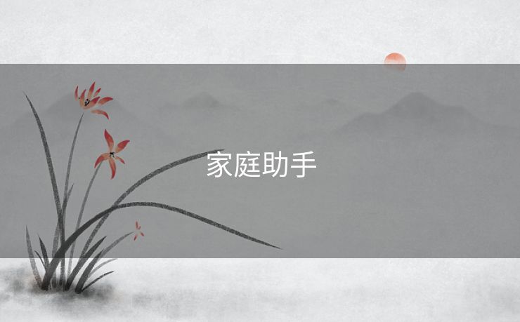 家庭助手 家庭助手