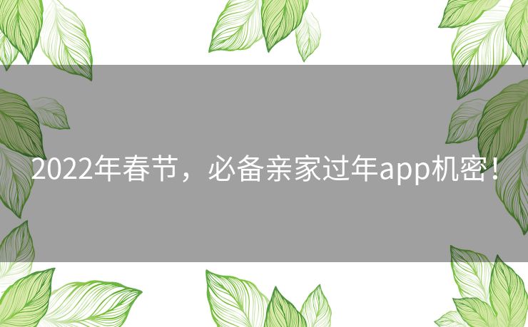 2022年春节，必备亲家过年app机密！