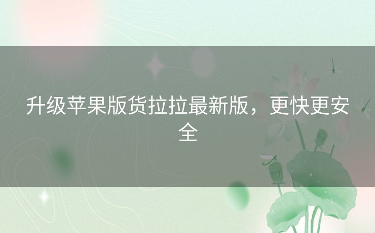 升级苹果版货拉拉最新版，更快更安全