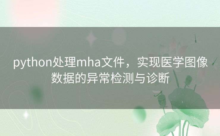 python处理mha文件，实现医学图像数据的异常检测与诊断