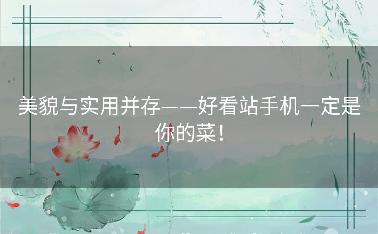 美貌与实用并存——好看站手机一定是你的菜！