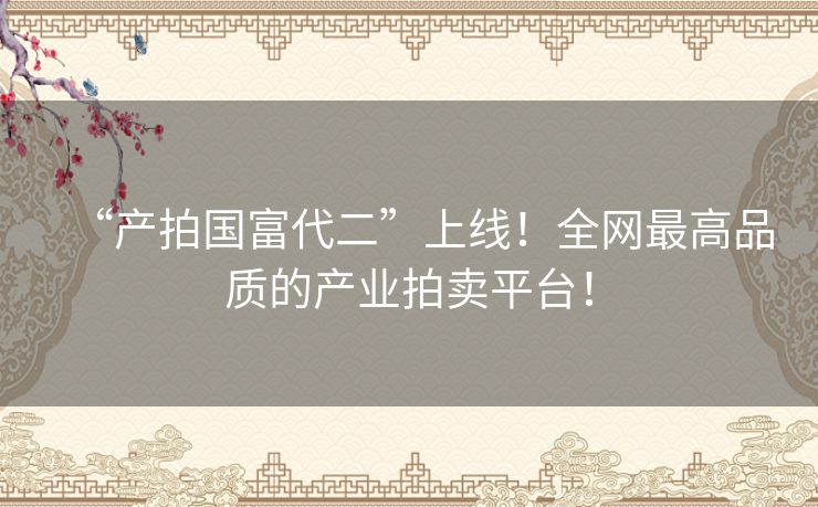 “产拍国富代二”上线！全网最高品质的产业拍卖平台！