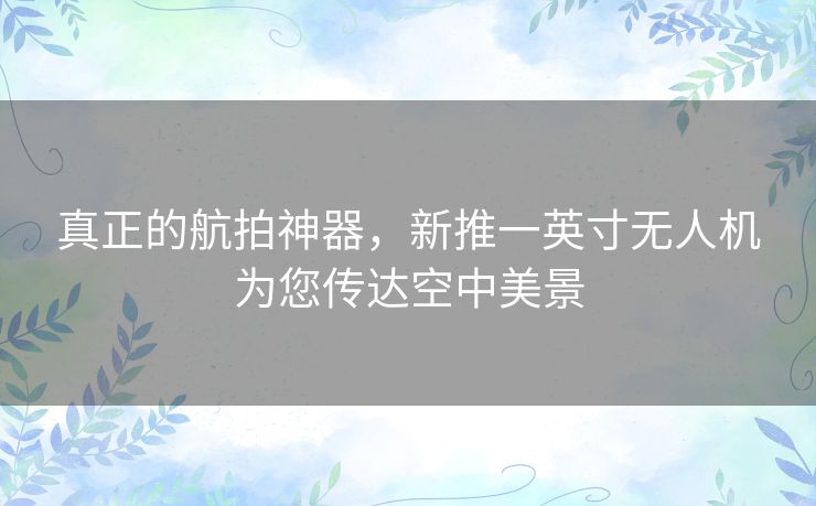 真正的航拍神器,新推一英寸无人机为您传达空中美景 真正的航拍神器,新推一英寸无人机为您传达空中美景