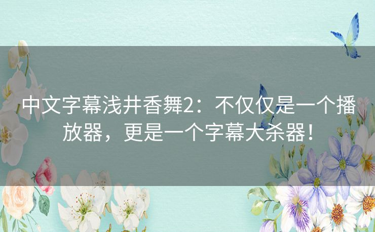 中文字幕浅井香舞2：不仅仅是一个播放器，更是一个字幕大杀器！