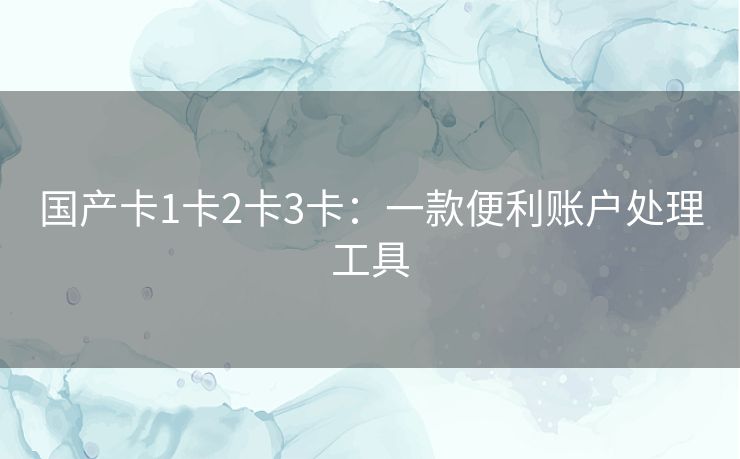国产卡1卡2卡3卡：一款便利账户处理工具