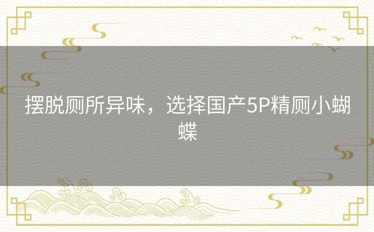 摆脱厕所异味，选择国产5P精厕小蝴蝶