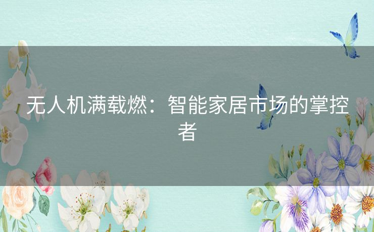 无人机满载燃：智能家居市场的掌控者