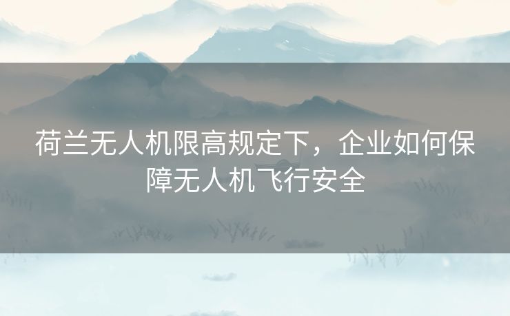 荷兰无人机限高规定下，企业如何保障无人机飞行安全