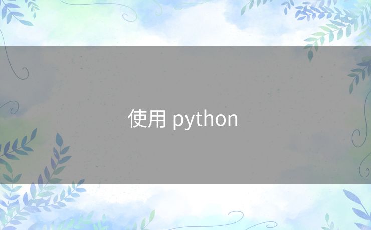 使用 python 使用 python