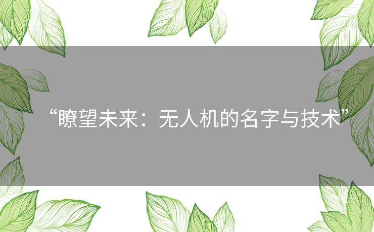 “瞭望未来:无人机的名字与技术” “瞭望未来:无人机的名字与技术”