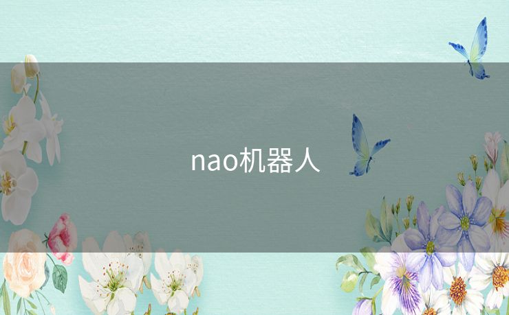 nao机器人 nao机器人