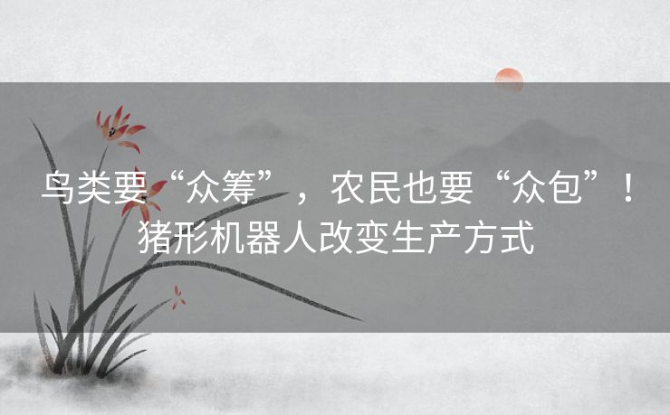 鸟类要“众筹”，农民也要“众包”！猪形机器人改变生产方式