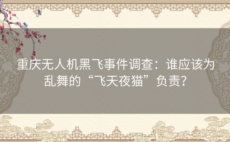 重庆无人机黑飞事件调查：谁应该为乱舞的“飞天夜猫”负责？