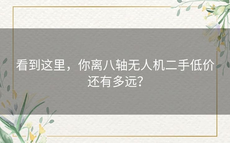 看到这里,你离八轴无人机二手低价还有多远? 看到这里,你离八轴无人机二手低价还有多远?