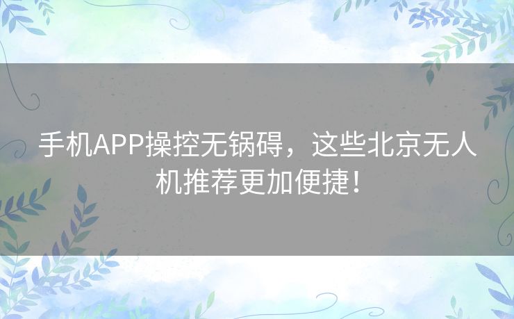 手机APP操控无锅碍,这些北京无人机推荐更加便捷! 手机APP操控无锅碍,这些北京无人机推荐更加便捷!