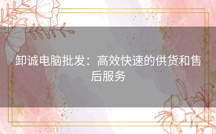 卸诚电脑批发：高效快速的供货和售后服务