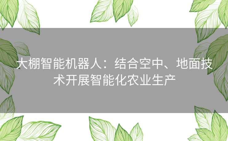 大棚智能机器人：结合空中、地面技术开展智能化农业生产