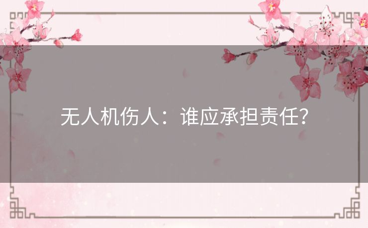 无人机伤人:谁应承担责任? 无人机伤人:谁应承担责任?