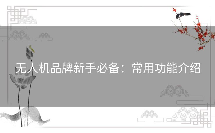 无人机品牌新手必备:常用功能介绍 无人机品牌新手必备:常用功能介绍