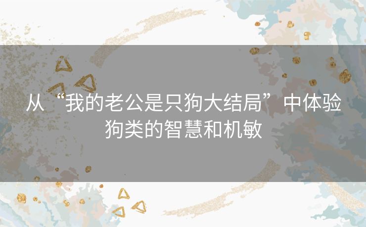 从“我的老公是只狗大结局”中体验狗类的智慧和机敏 从“我的老公是只狗大结局”中体验狗类的智慧和机敏