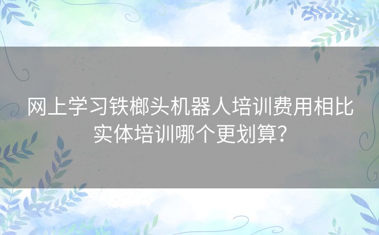网上学习铁榔头机器人培训费用相比实体培训哪个更划算？