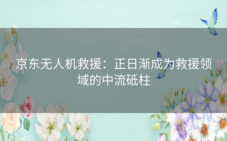 京东无人机救援:正日渐成为救援领域的中流砥柱 京东无人机救援:正日渐成为救援领域的中流砥柱