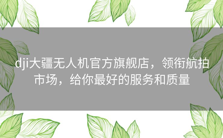 dji大疆无人机官方旗舰店,领衔航拍市场,给你最好的服务和质量 dji大疆无人机官方旗舰店,领衔航拍市场,给你最好的服务和质量