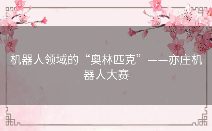 机器人领域的“奥林匹克”——亦庄机器人大赛