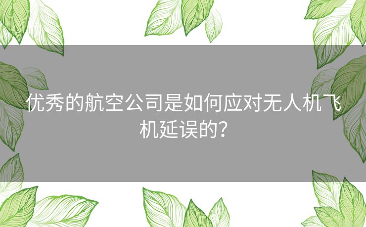 优秀的航空公司是如何应对无人机飞机延误的？