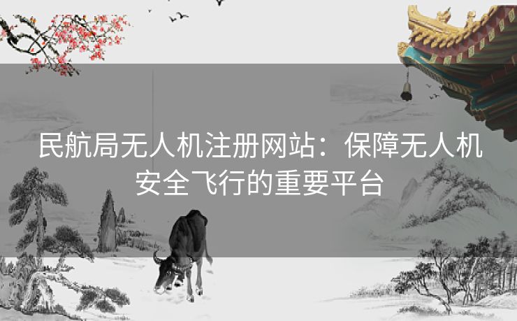 民航局无人机注册网站:保障无人机安全飞行的重要平台 民航局无人机注册网站:保障无人机安全飞行的重要平台
