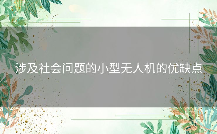 涉及社会问题的小型无人机的优缺点
