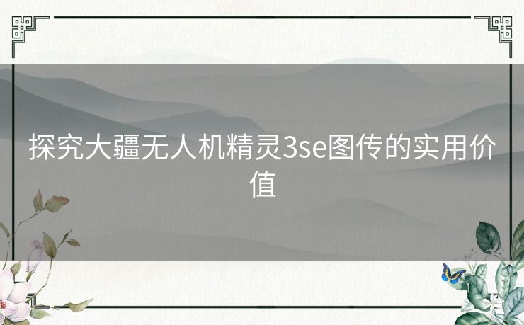 探究大疆无人机精灵3se图传的实用价值