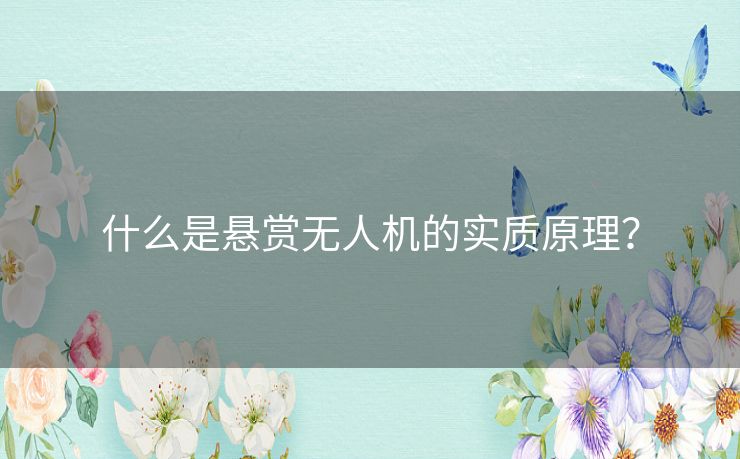 什么是悬赏无人机的实质原理? 什么是悬赏无人机的实质原理?