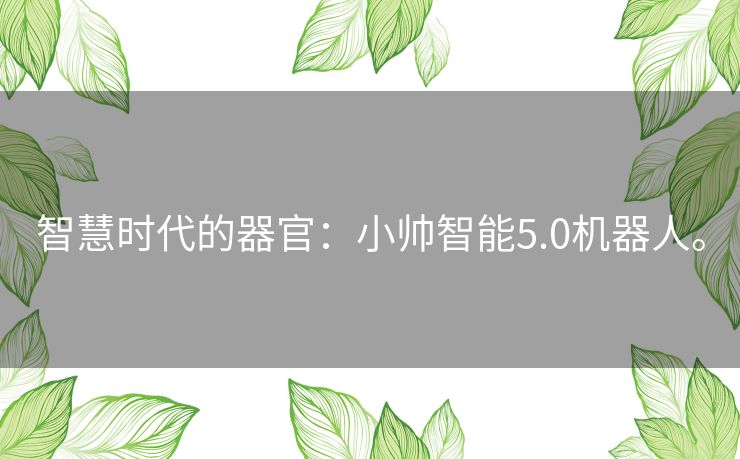 智慧时代的器官：小帅智能5.0机器人。
