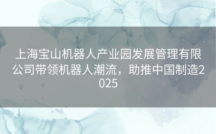 上海宝山机器人产业园发展管理有限公司带领机器人潮流，助推中国制造2025