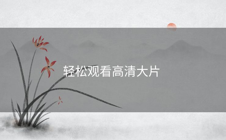 轻松观看高清大片 
