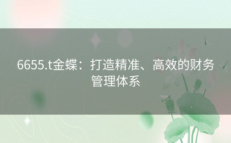 6655.t金蝶：打造精准、高效的财务管理体系