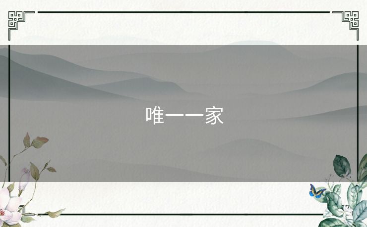 唯一一家 唯一一家