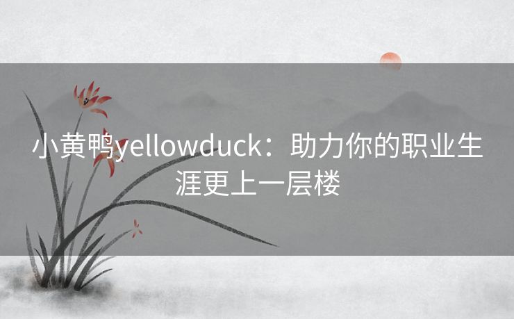 小黄鸭yellowduck:助力你的职业生涯更上一层楼 小黄鸭yellowduck:助力你的职业生涯更上一层楼