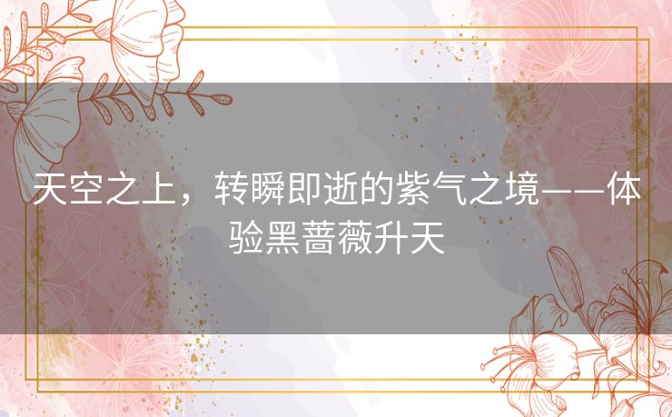 天空之上,转瞬即逝的紫气之境——体验黑蔷薇升天 天空之上,转瞬即逝的紫气之境——体验黑蔷薇升天