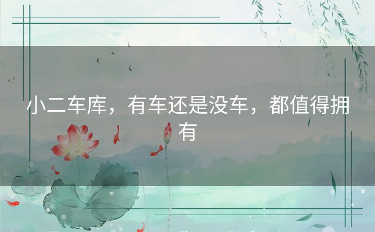 小二车库，有车还是没车，都值得拥有