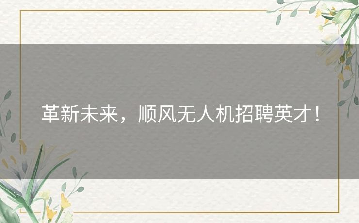 革新未来,顺风无人机招聘英才! 革新未来,顺风无人机招聘英才!